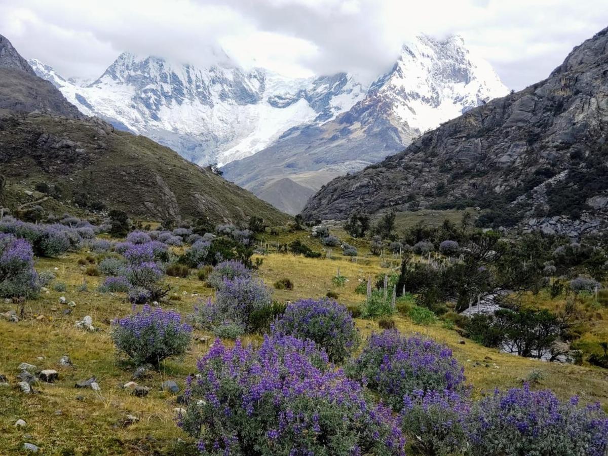 Lhotse Hostel B&B Huaraz  Εξωτερικό φωτογραφία